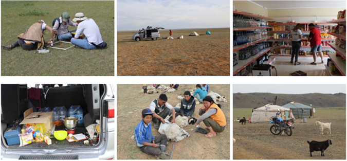 Images of the Fieldwork in Mongolia